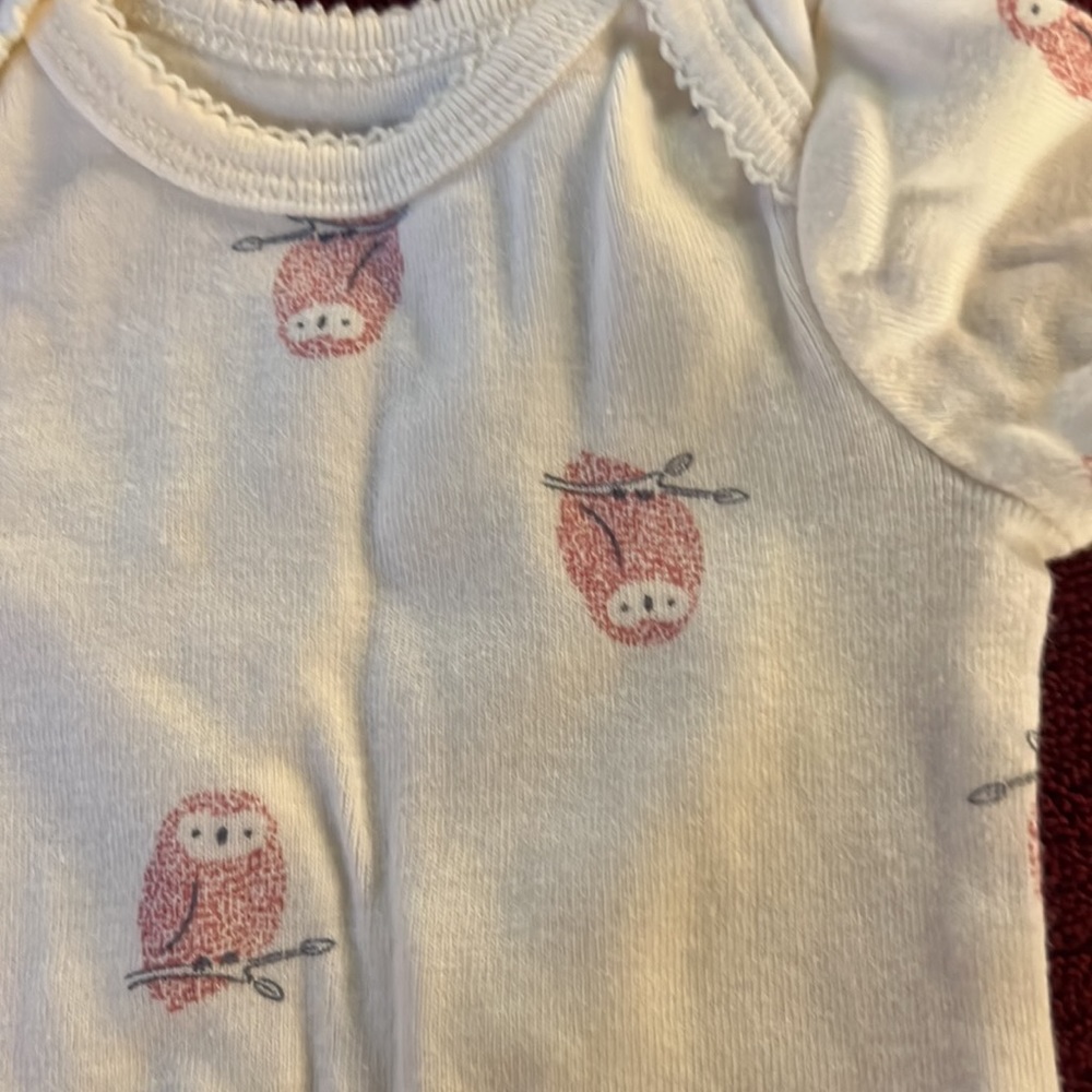 Owl set - Picture 4 of 5